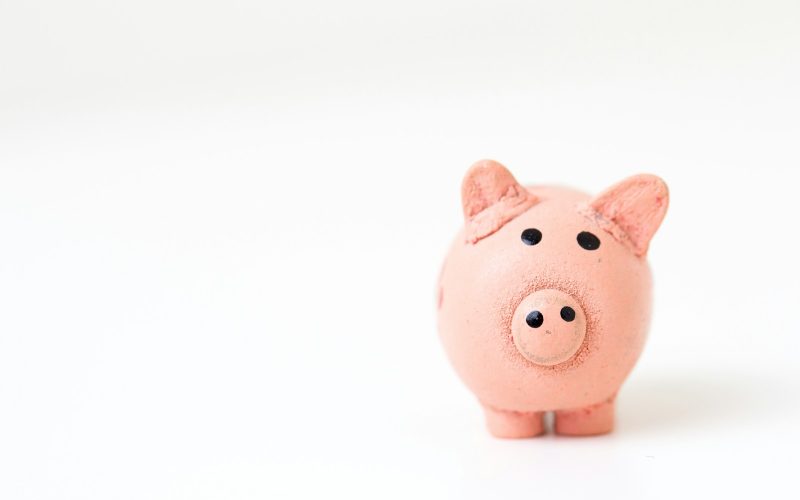 pink pig figurine on white surface