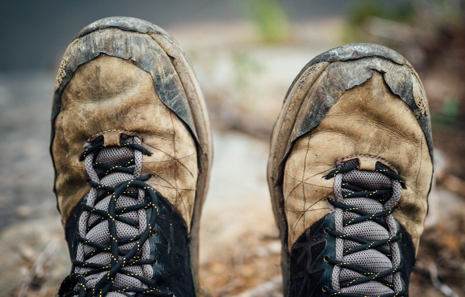 brown-and-black leather hiking shoes