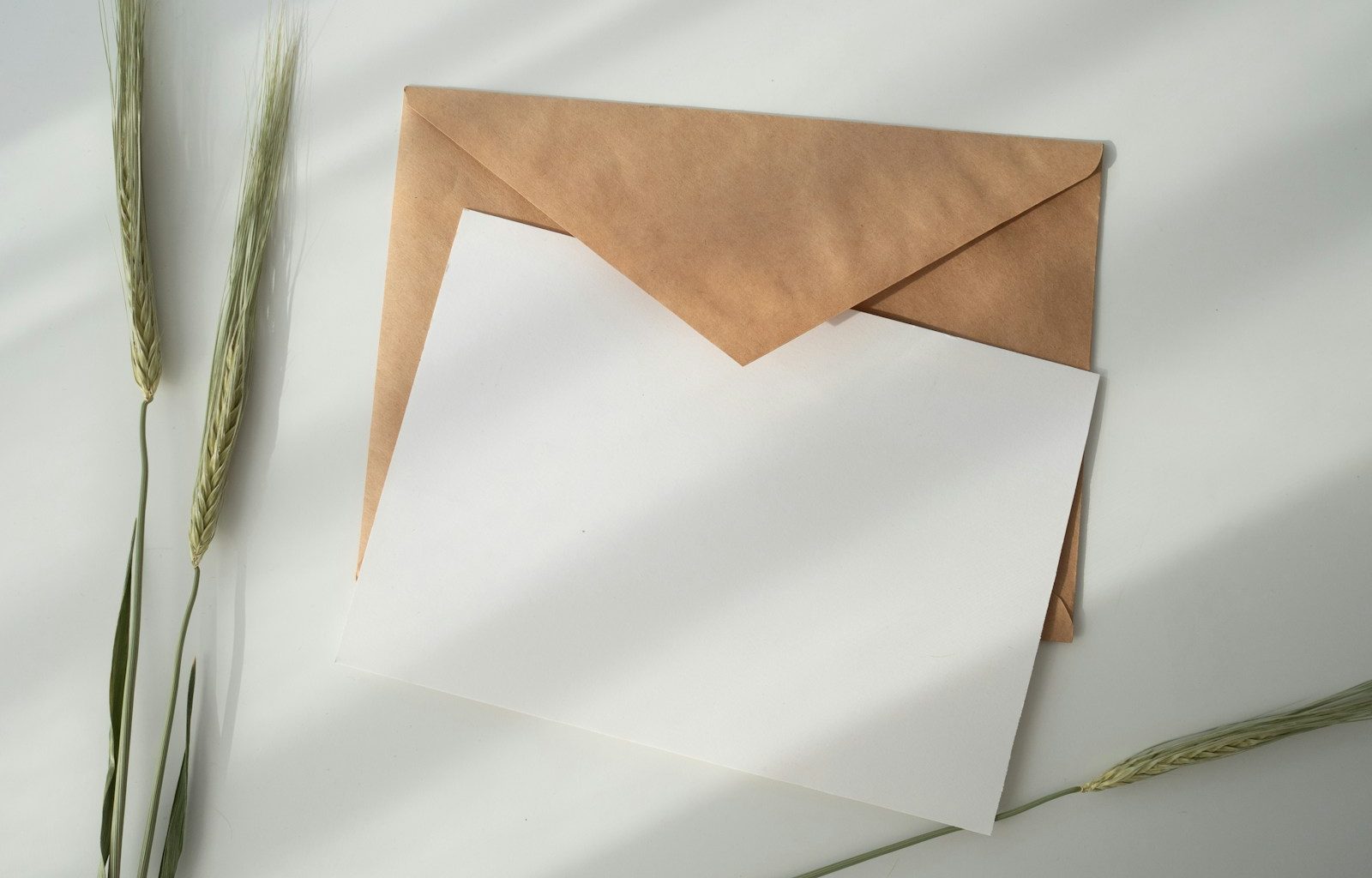 white paper and brown envelope