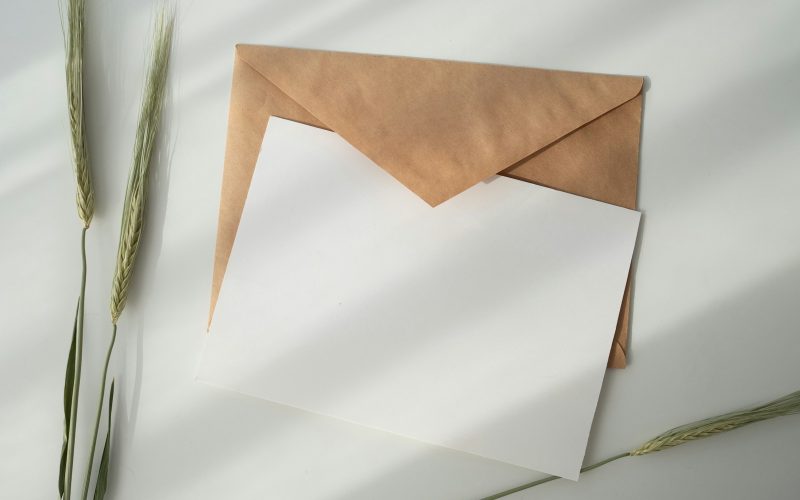 white paper and brown envelope