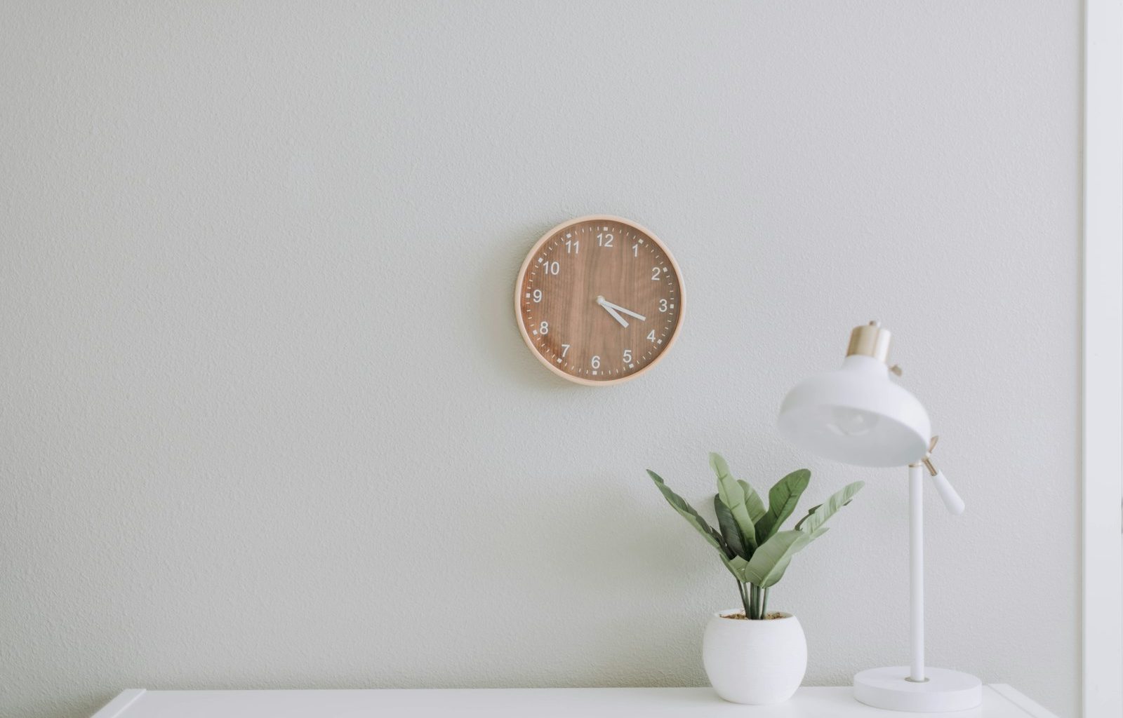 white desk lamp beside green plant