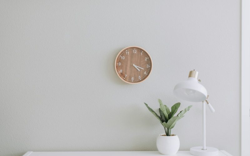 white desk lamp beside green plant