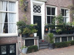 green plants on house front