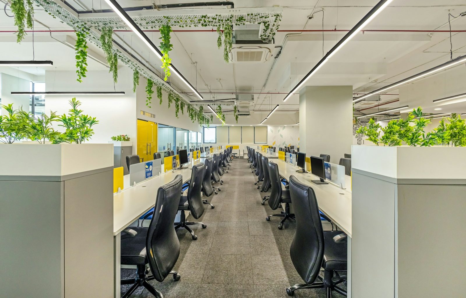 an office with plants hanging from the ceiling