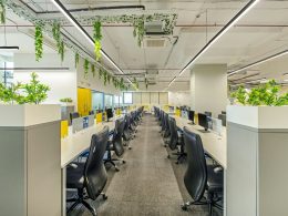 an office with plants hanging from the ceiling