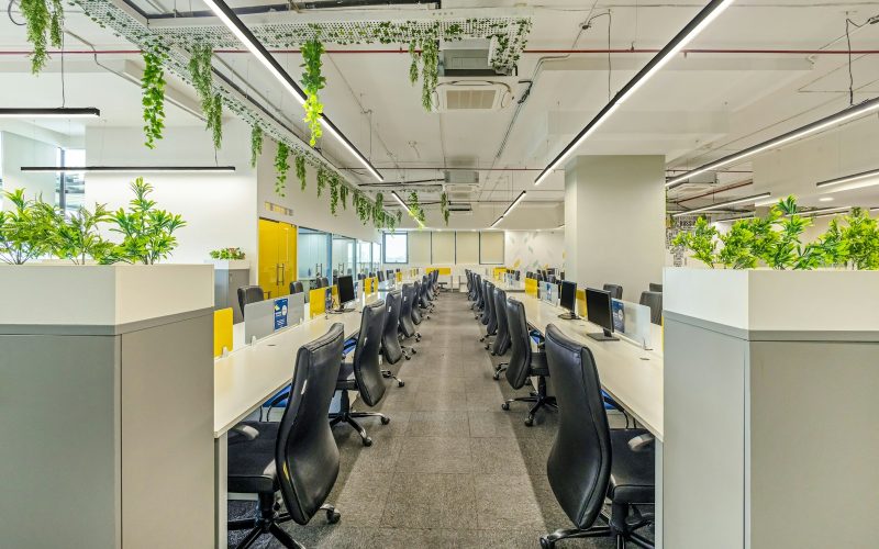 an office with plants hanging from the ceiling