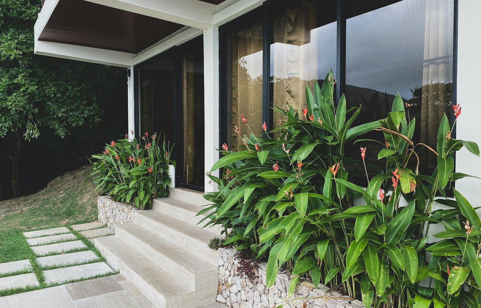 a house that has a bunch of plants in front of it