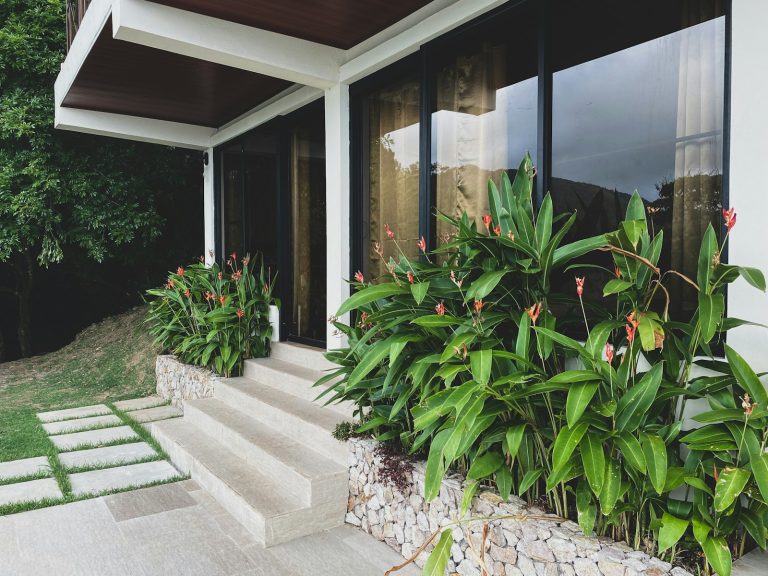 a house that has a bunch of plants in front of it