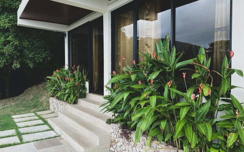 a house that has a bunch of plants in front of it